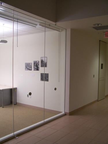 Four black and white photographs seen through a glass door.