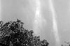 Photograph of tree and sky.