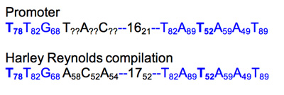 Step 2: characterize of promoter.