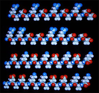 Illustration of four different self-assembling peptides.