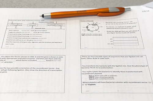 Stapled packet of papers with diagrams and prompts on a table. A pen sits on top of the packet of papers.