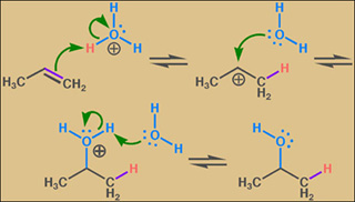 Acid-catalyzed hydration of propene. 