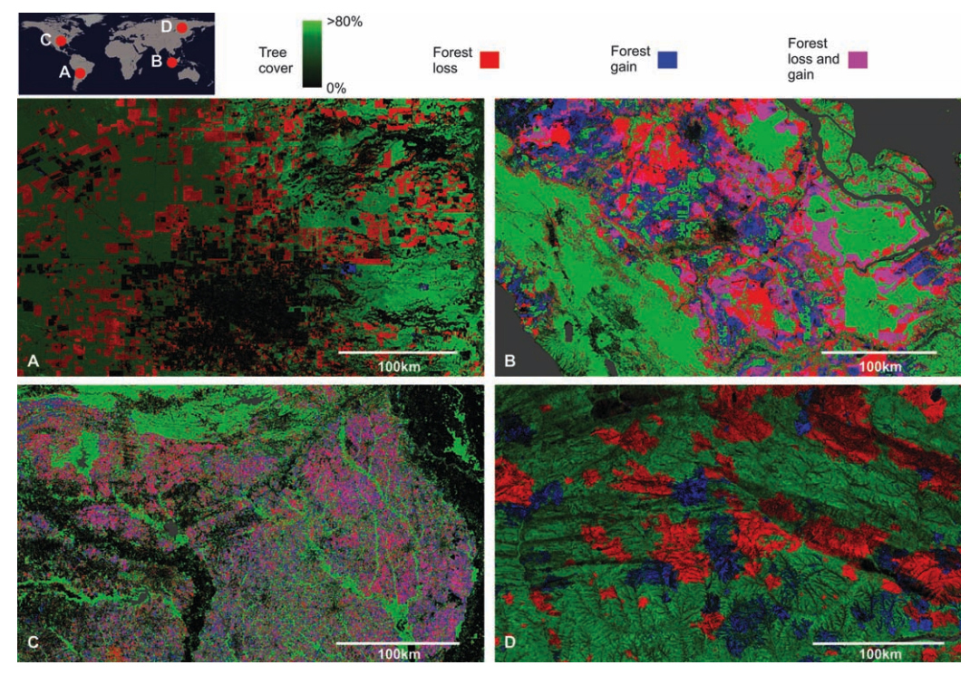 Four color maps showing forest lost and gain regions.