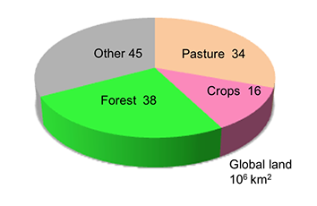 A pie chart with 4 slices.