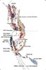 Middle Jurassic-late Cretaceous.