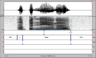 Screenshot from one of the simulations used in the course.