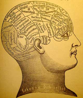 The photo is an illustration of the brain. It shows that certain brain areas have specific functions which in turn control personality traits.