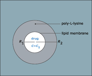 A circular diagram.