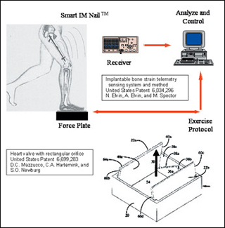 Diagram of bone strain system, showing implant in femur, standing on force plate, an exercise protocol, and receiver and analysis/control modules; and a patent diagram of the rectangular heart valve.