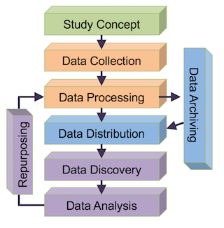 A flow chart made of 8 grey boxes with arrows pointing to and from each box.